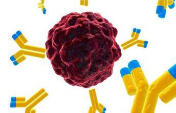 Biosynex�[����ӛ����ٙz�yԇ���У��z�w�𷨣�